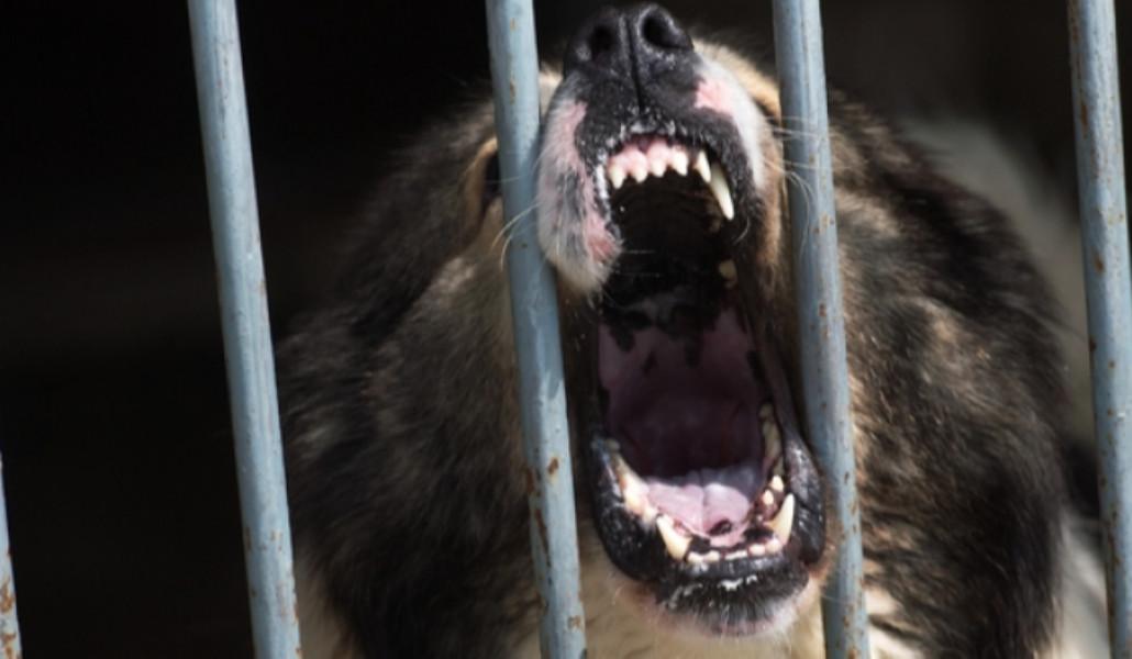 detail_cac6a6fed71b266328b14602648f0023_52432500