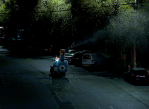 Ծառերի բուժումն իրականացվում է գիշերը