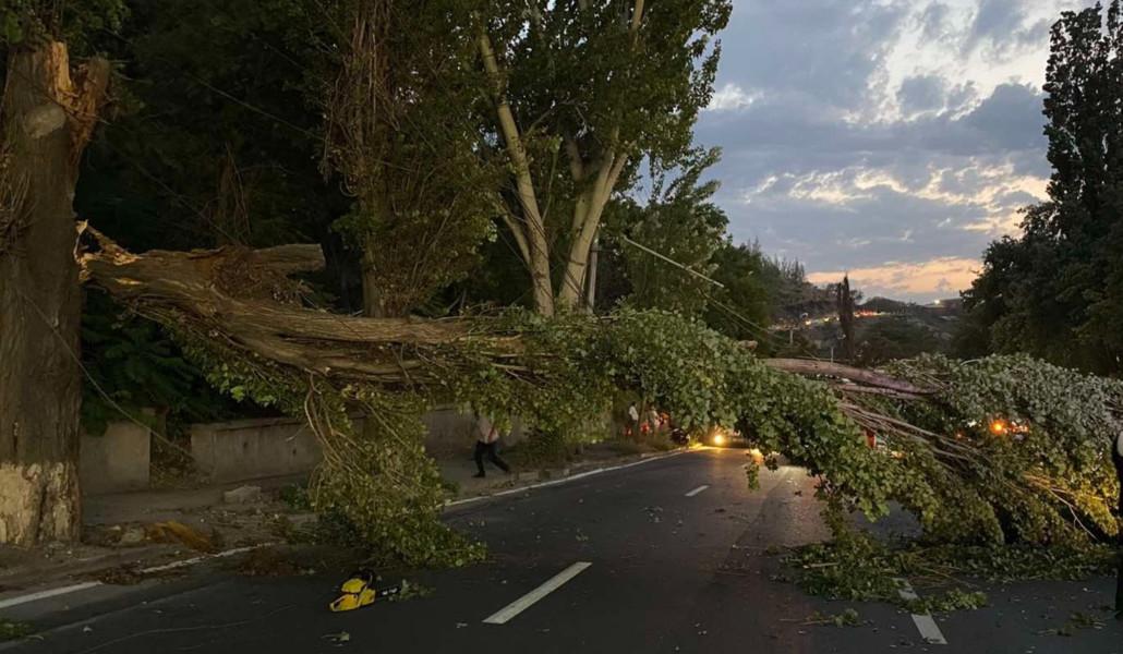 363840758_233411562988287_8967130376030227380_n