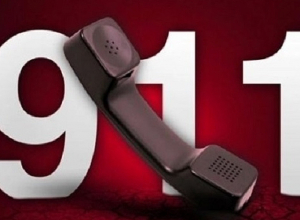 Փրկարարներին կանչել են օձերին տեղափոխելու