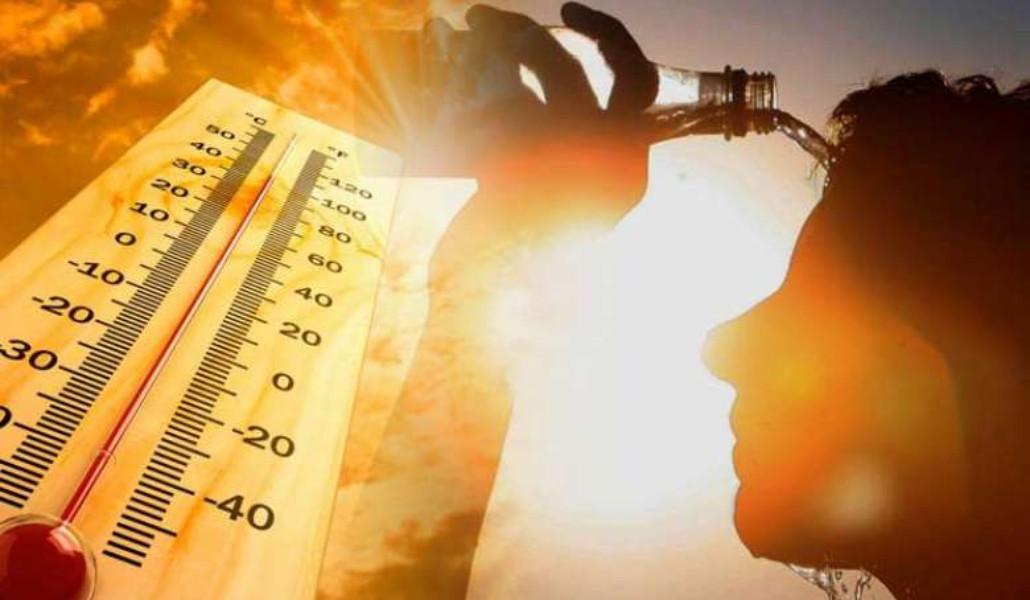 timthumb-2022-07-13T231422.469