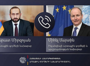 Арарат Мирзоян провёл телефонный разговор с министром иностранных дел и обороны Ирландии