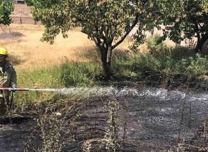 Հրշեջ-փրկարարները մարել են մոտ 44 հա խոտածածկ տարածքներում բռնկված հրդեհները