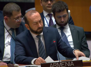 ՀՀ արտաքին գործերի նախարարի ելույթը ՄԱԿ անվտանգության խորհրդի հրատապ նիստում