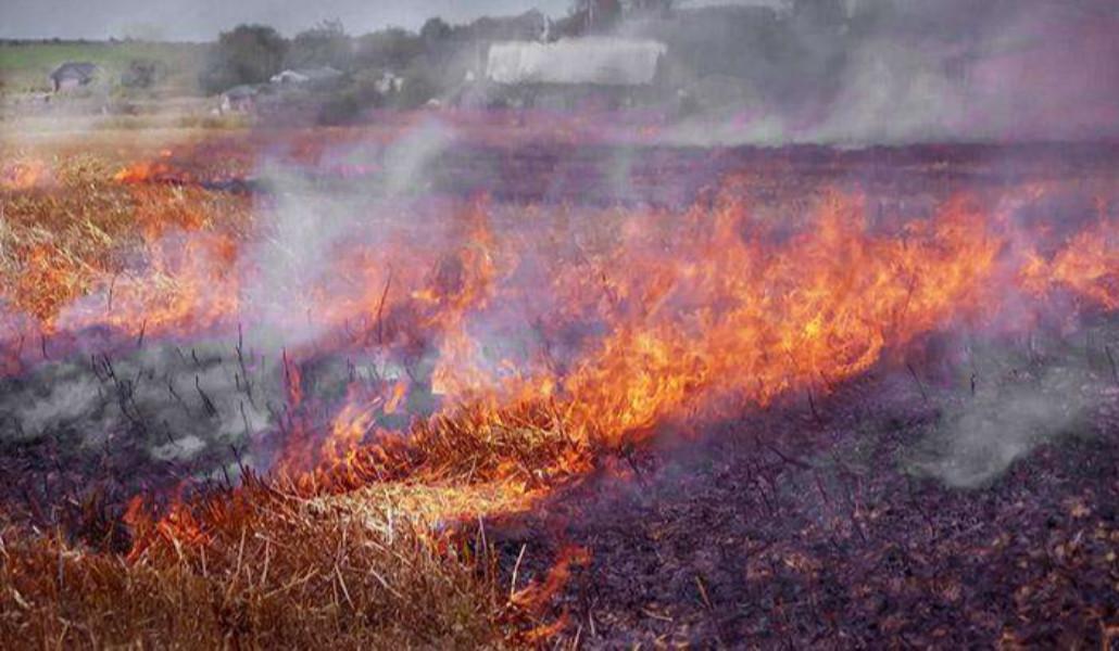 հրդեհ խոտածածկույթ