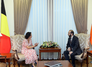 Տեղի է ունենում Հայաստանի և Բելգիայի ԱԳ նախարարների առանձնազրույցը․ ՀՀ ԱԳՆ