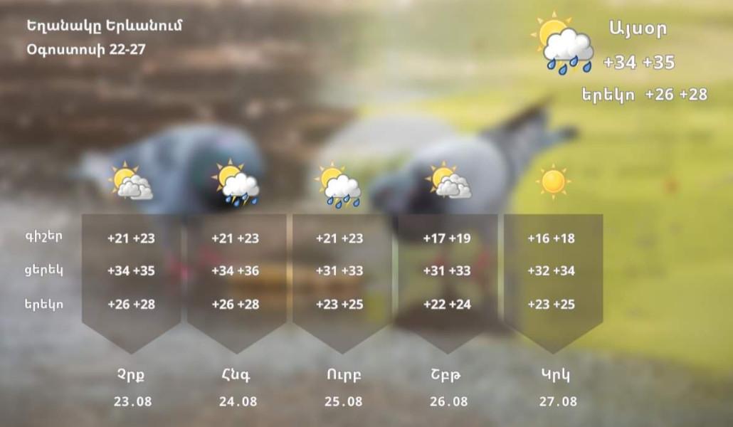 FB_IMG_1692694994321