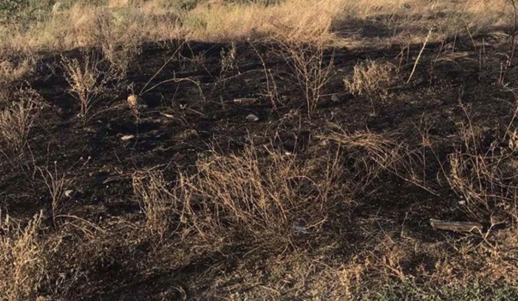 369592532_247537498242360_2629627592035230199_n