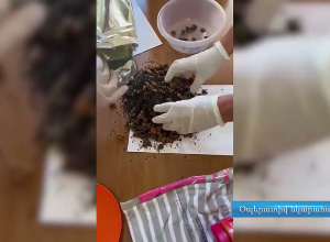 Միջազգային սուրհանդակային առաքանուց հայտնաբերվել է 1 կգ ից ավելի «հաշիշ» տեսակի թմրամիջոց