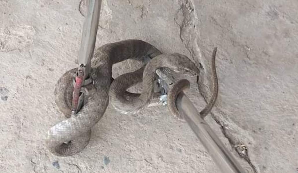 FB_IMG_1693366485370