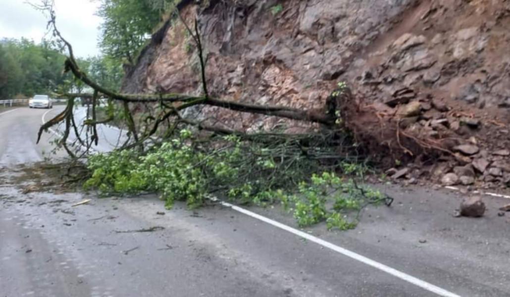 FB_IMG_1693368017114