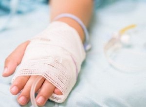 Շան կծելու հետևանքով Եղեգնաձորի ԲԿ-ից 4 երեխա է տեղափոխվել «Սուրբ Աստվածամայր» բժշկակական կենտրոն․ ԲԿ մանրամասները