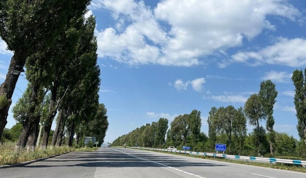 376823670_258649477131162_815015737009271473_n