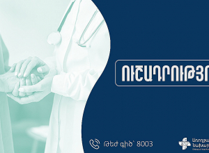 ԼՂ-ից բռնի տեղահանվածների բուժօգնությունն իրականացվելու է պետպատվերի շրջանակներում․ ԱՆ