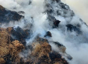 Լոռու մարզի Մեծ Պարնի գյուղում այրվել է մոտ 500 հակ անասնակեր