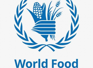 ՄԱԿ-ի Պարենի համաշխարհային ծրագիրն արձագանքում է հումանիտար ճգնաժամին՝ մինչ հազարավոր մարդիկ ապաստան են գտնում Հայաստանում