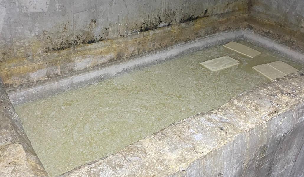 385823170_695827202581668_1963283859057678758_n