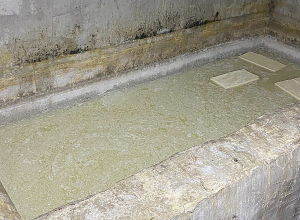 Պանրի արտադրամասը գործել է սանիտարահիգիենիկ նորմերի խախտումներով