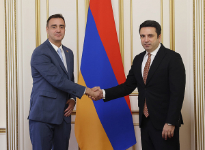 Международное сообщество должно отреагировать четкими действиями: посол Аргентины – Алену Симоняну