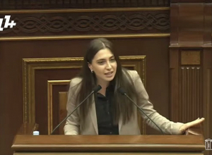 «Вы сдали Арцах, успокоились уже, чему радуетесь?»: Мкртчян - ГД