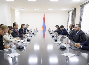 Արարատ Միրզոյանը ընդունել է ՄԱԿ Հումանիտար հարցերի համակարգման ղեկավարին