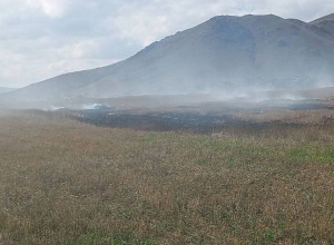 Նոր Խաչակապ գյուղի մոտակայքում այրվել է մոտ 22 հա խոտածածկույթ