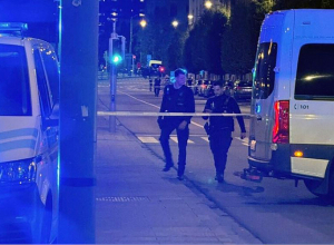 Двое шведов погибли в результате стрельбы в Брюсселе, футбольный матч Бельгия- Швеция был приостановлен