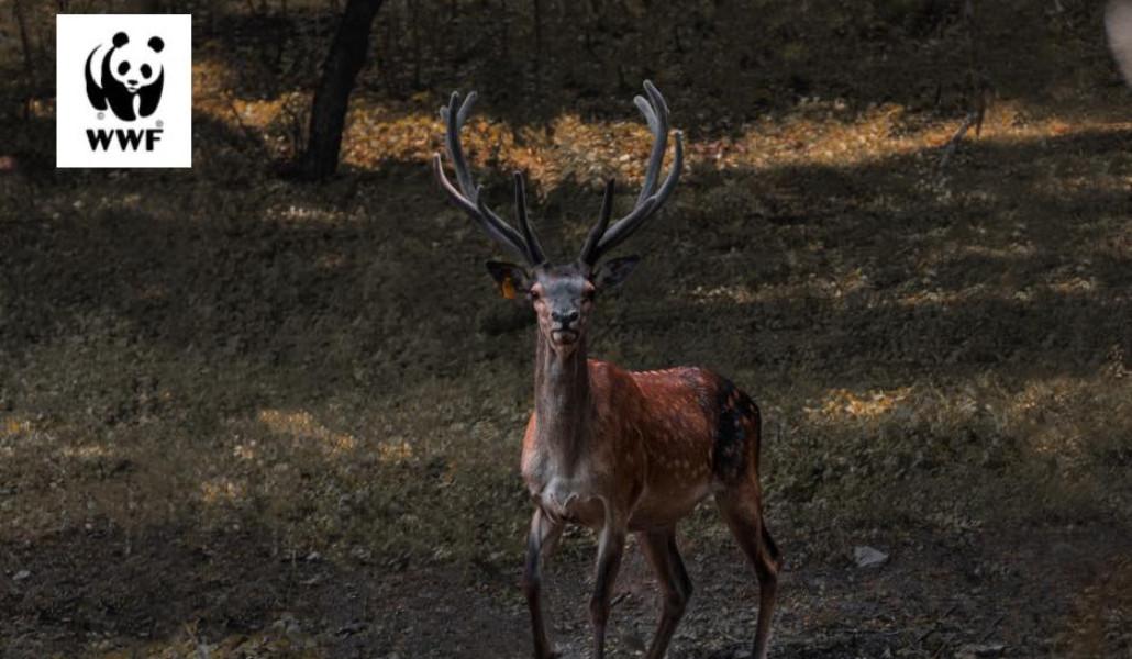 387871588_724863503018423_6395291117874949774_n