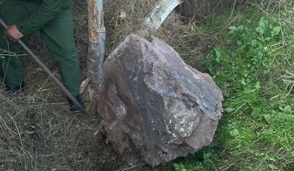 395682238_286909754305134_3063164569246258292_n