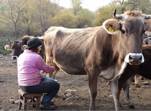 Կյանքը՝ արջի ու գայլի հետ կռիվ տալով. Իքատակ