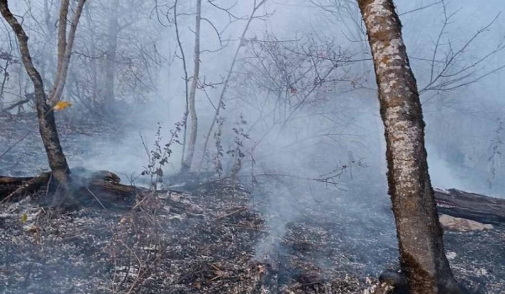 398962262_296022586727184_4261740471415502689_n