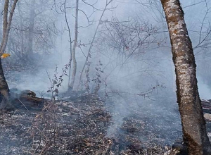 «Դիլիջան ազգային պարկ» ՊՈԱԿ-ի տարածքում շարունակվում են հրդեհաշիջման աշխատանքները
