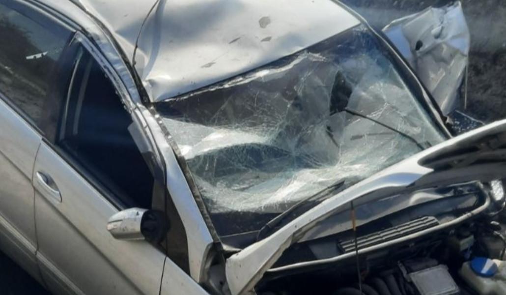 401809598_300129822983127_69619271804569977_n