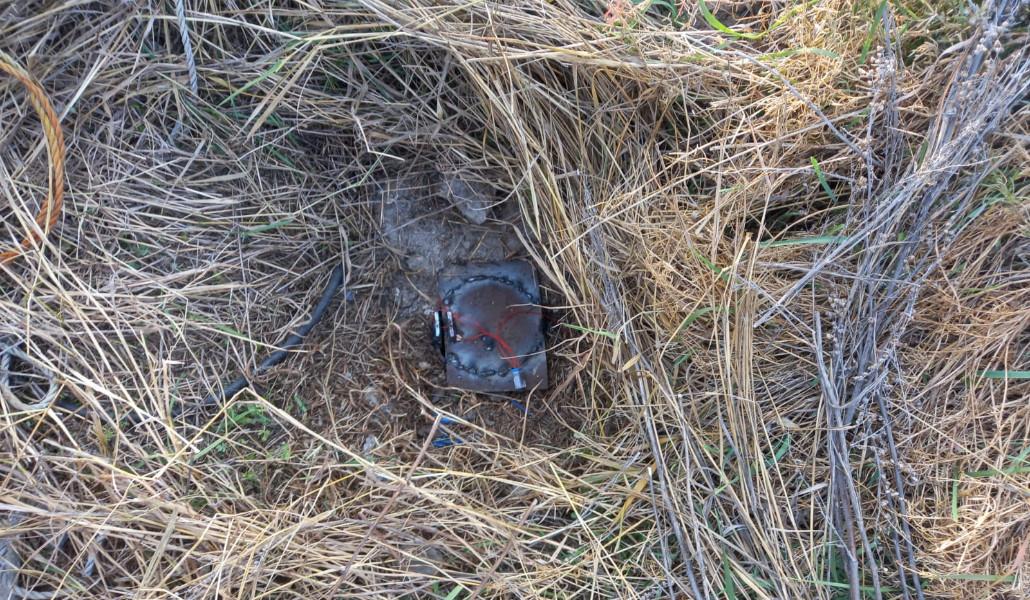 393927310_1006331180595979_2347959117169725971_n