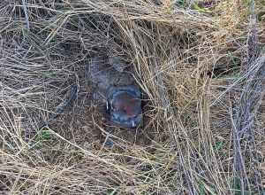 Գեղարքունիքի հանգստյան գոտում կասեցվել է ապօրինի խորքային հորի շահագործումը