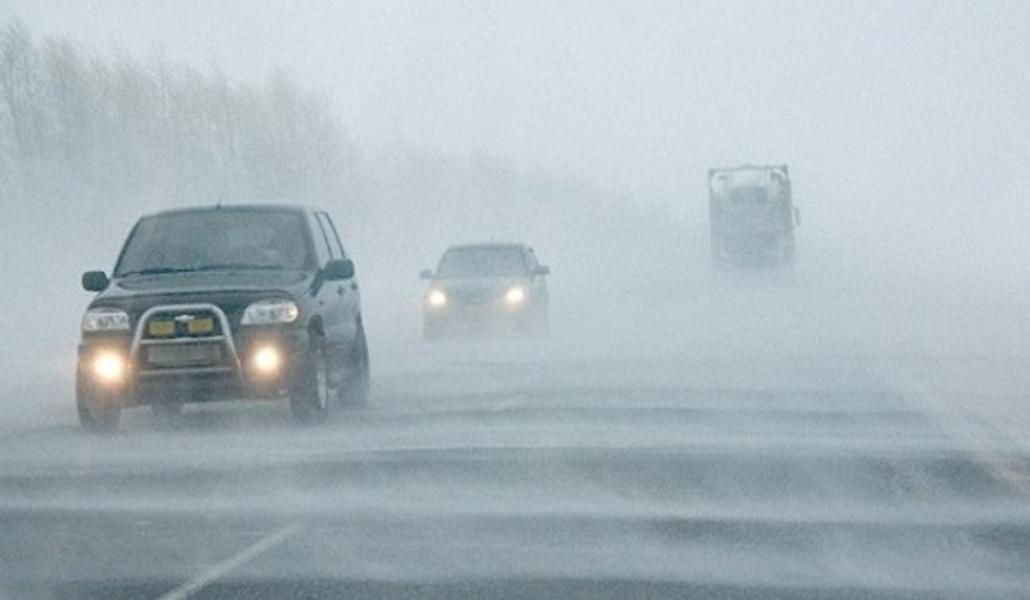 402530797_303014176028025_1316680733705050768_n