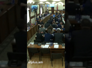 Драка на заседании Совета старейшин Еревана