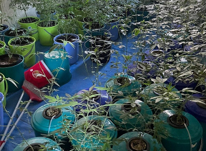 Հայտնաբերվել է թմրամիջոցների պատրաստման գաղտնի լաբորատորիա