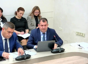 «Հայաքվե» նախաձեռնության վերաբերյալ ԱԺ հայտարարության նախագծի քննարկումը հետաձգվել է քվեարկության փուլում լրամշակման նպատակով