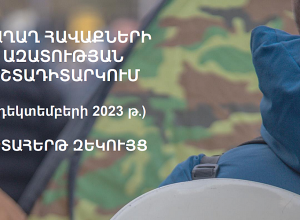 Երևանում իրականացված հավաքների, դրանց ընթացքում ոստիկանության միջամտությունների վերաբերյալ դիտարկումների արդյունքները