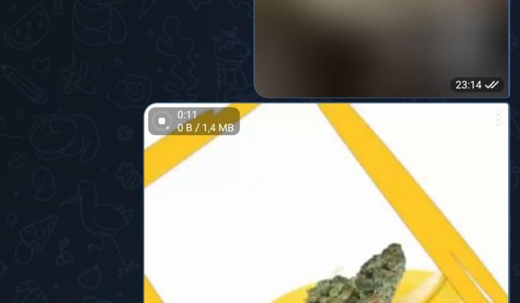 thumbnail_66