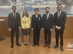 ԱԳ նախարարի տեղակալը հանդիպել է ԵԽ գլխավոր քարտուղարի միգրացիայի և փախստականների հարցերով հատուկ ներկայացուցչի հետ