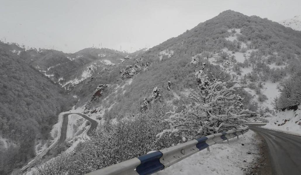 410868215_122164129070003277_2553419448118736534_n