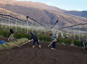 Շվեյցարիան 10 մլն. շվեյցարական ֆրանկ (CHF) է ներդնում Հայաստանի հետ անտառների վերականգնման 10-ամյա նախագծի համար
