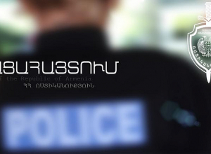 Արմավիրի մի բնակչուհի ահազանգել էր ոստիկանություն, որ աղբամանների մոտ շան սատկած ձագեր կան` արնաշաղախ, գլուխները վնասված, աչքերը հանած