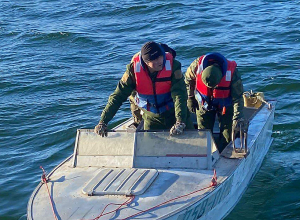 Սևանա լճի տարբեր հատվածներից դուրս է բերվել 38 ձկնորսական ցանց, որոնցում առկա է եղել 65 կգ սիգ տեսակի ձուկ