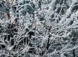 Լուսադեմին, ժամը 6։00-7։00 ընկած ժամանակահատվածում, Արարատյան դաշտի առանձին հատվածներում օդում սպասվում է 0․․․-1 աստիճան ցուրտ