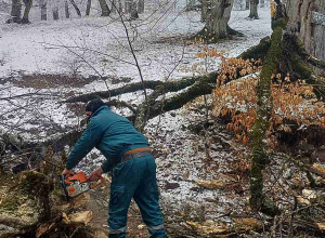 Օգնության են հասել փրկարարները