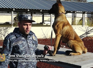 Այսօր շների թիվն ավելի շատ է, և բոլորն էլ պատրաստ են աջակցելու հանցագործությունների բացահայտմանը.ՆԳՆ