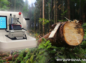 Նոր սարքով հնարավոր կլինի պարզել հատած՝ կտրած ծառի տեսակի պատկանելիությունը